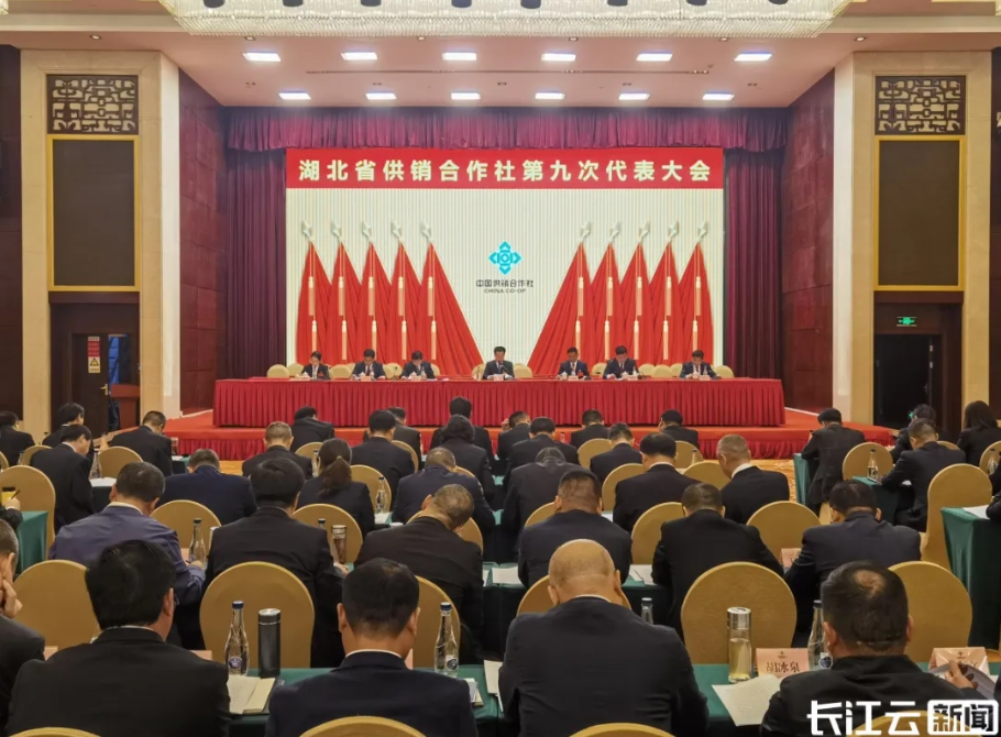 42923acm金牛版·(中国区)官方网站