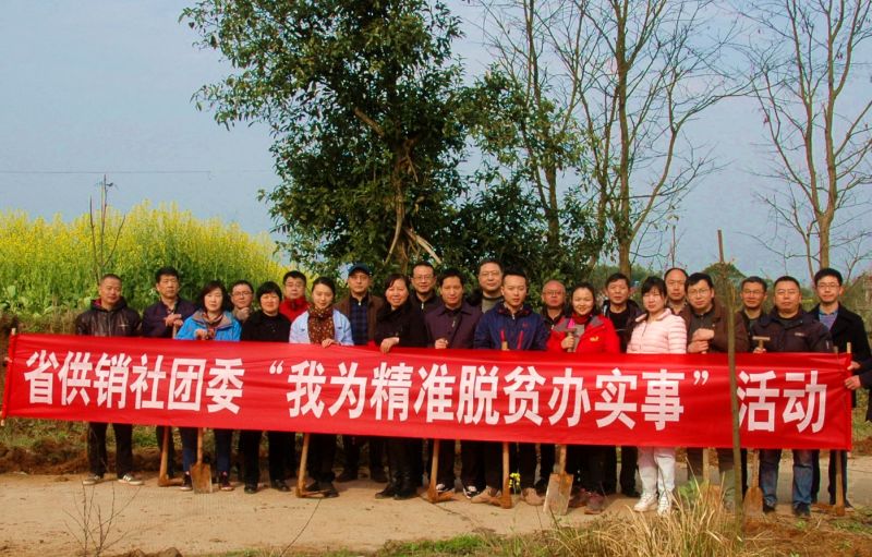 42923acm金牛版·(中国区)官方网站